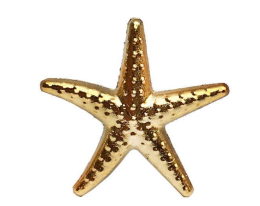 Deniz Yıldızı Minik 3 cm
