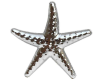 Deniz Yıldızı Minik 3 cm - Thumbnail (2)