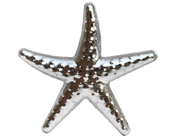 Deniz Yıldızı Minik 3 cm - 1